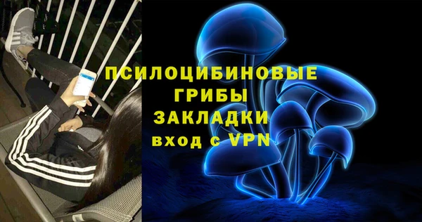 ГАЛЛЮЦИНОГЕННЫЕ ГРИБЫ Алзамай